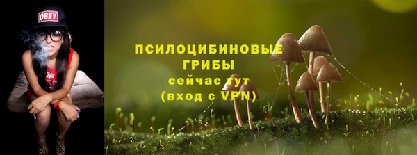 мдпв Богородск