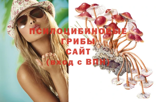 круглые Богданович