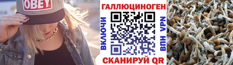 Галлюциногенные грибы мицелий Верхний Тагил